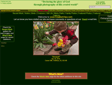 Tablet Screenshot of creationview.com